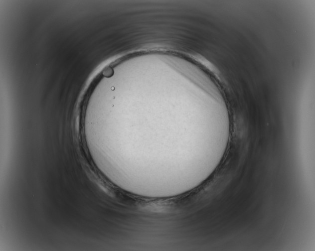 X0000086061078200704132013