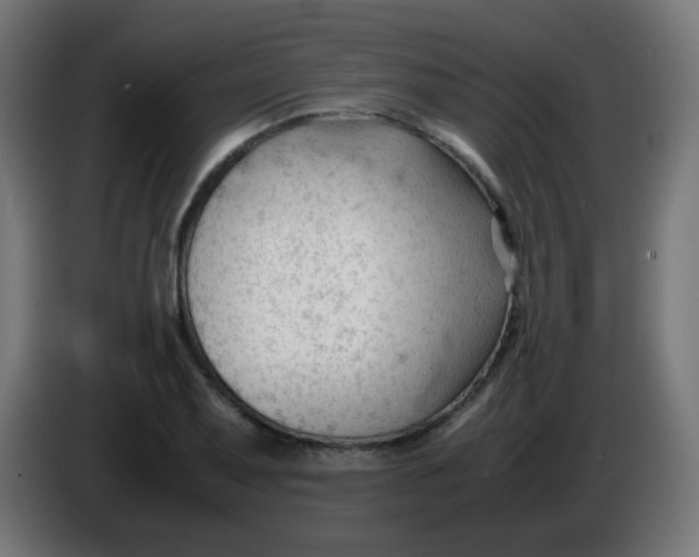 X0000086061079200704132013