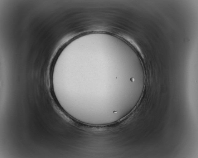 X0000086061080200704132013