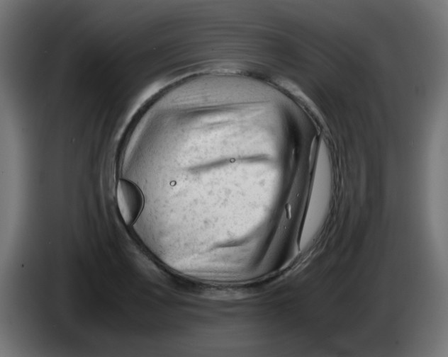 X0000086061083200704132013