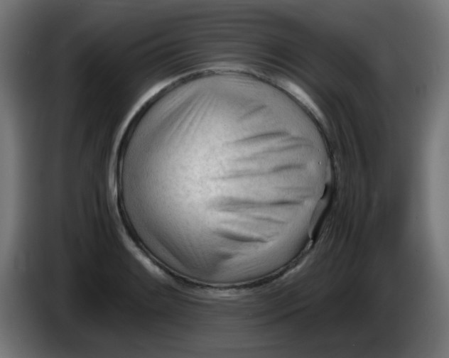 X0000086061084200704132013