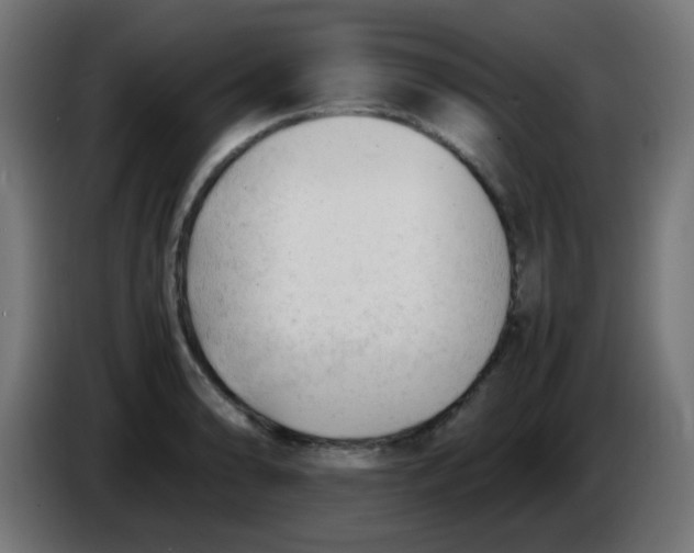 X0000086061086200704132013