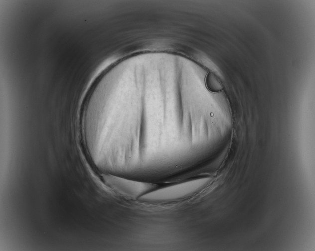 X0000086061087200704132013