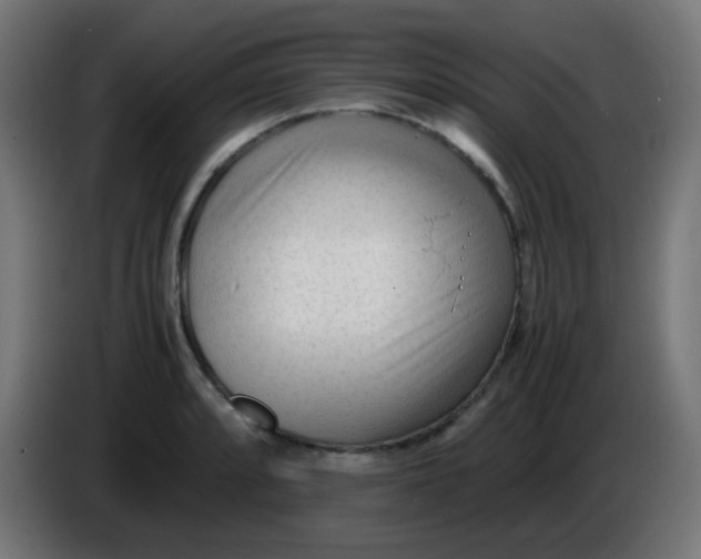 X0000086061088200704132013