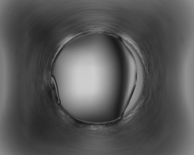 X0000086061089200704132013