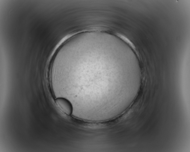 X0000086061091200704132013