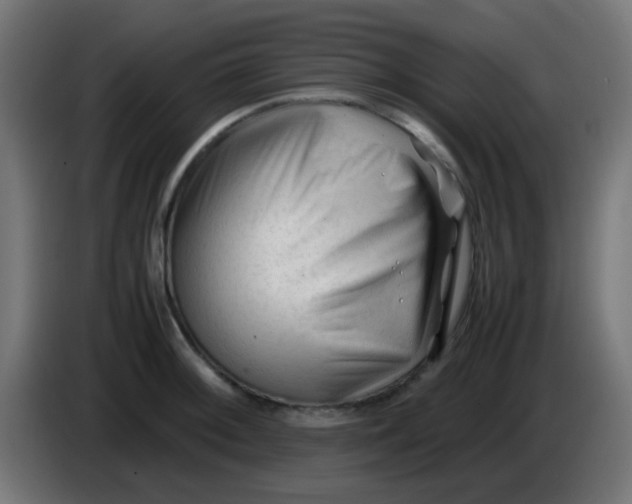 X0000086061092200704132013