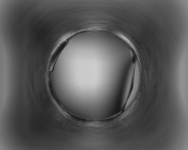 X0000086061093200704132013