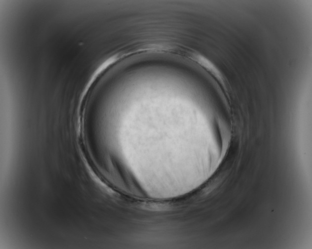 X0000086061095200704132012