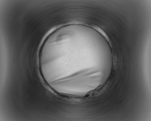 X0000086061096200704132012