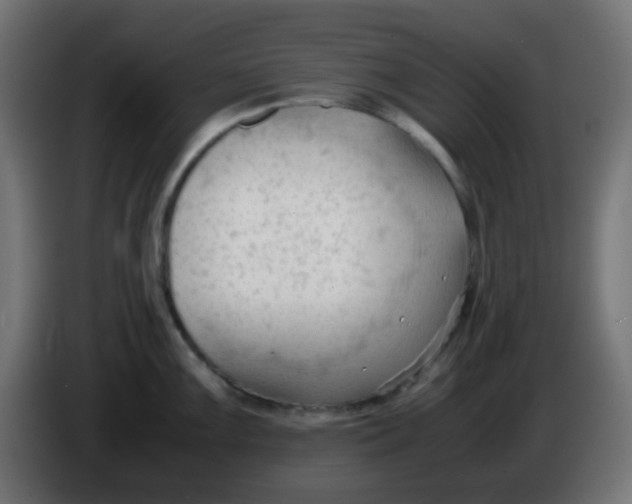 X0000086061099200704132012