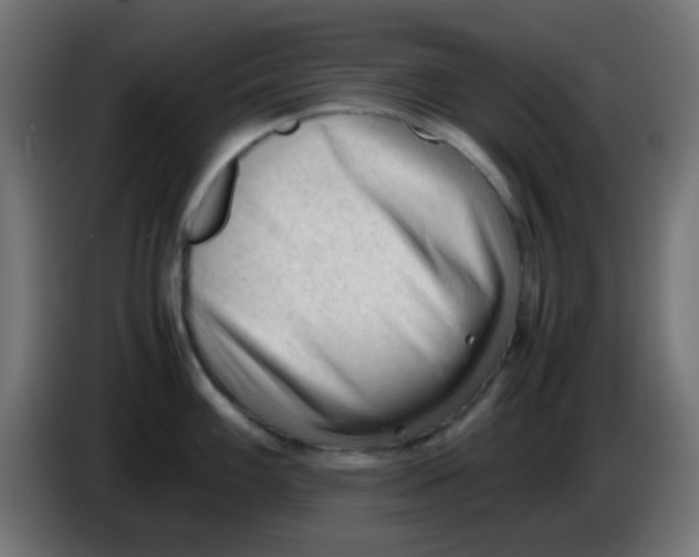 X0000086061100200704132012