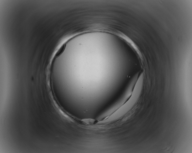 X0000086061102200704132012