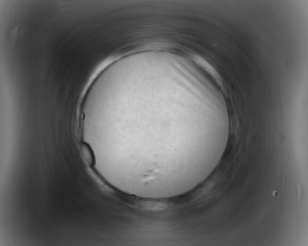 X0000086061103200704132012