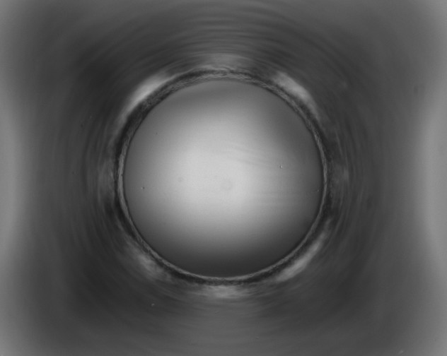 X0000086061114200704132012