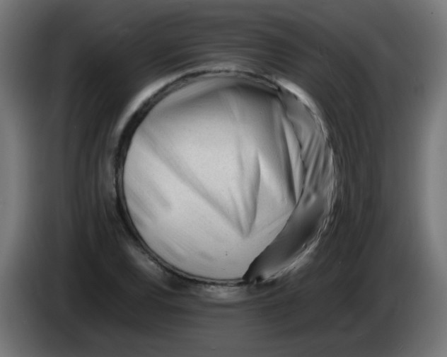 X0000086061120200704132012