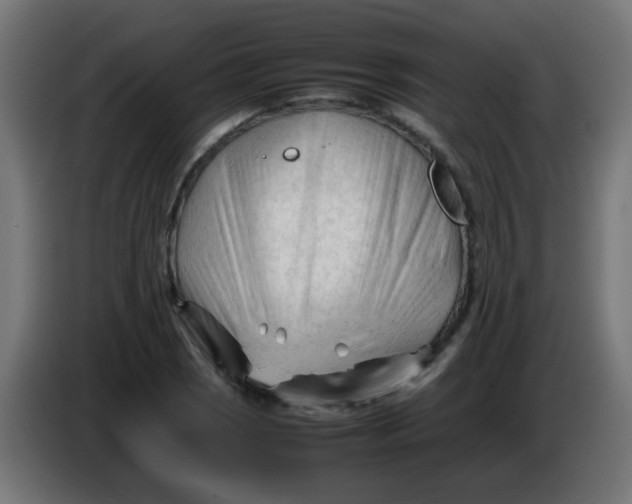 X0000086061121200704132012