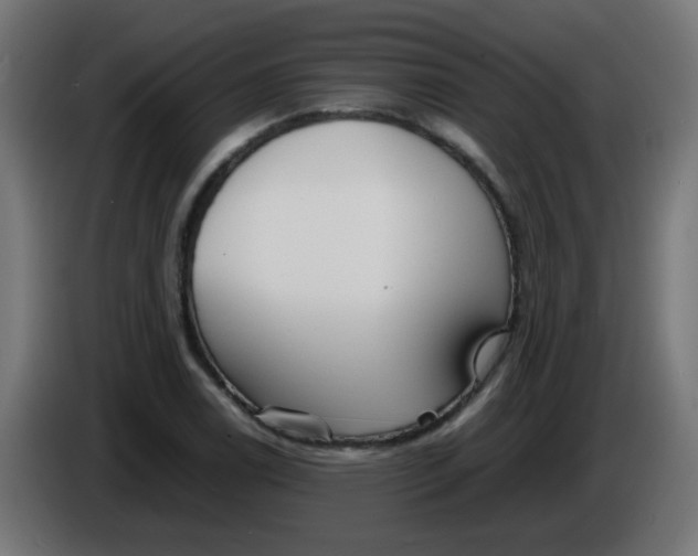 X0000086061122200704132012