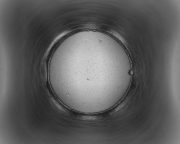 X0000086061123200704132012