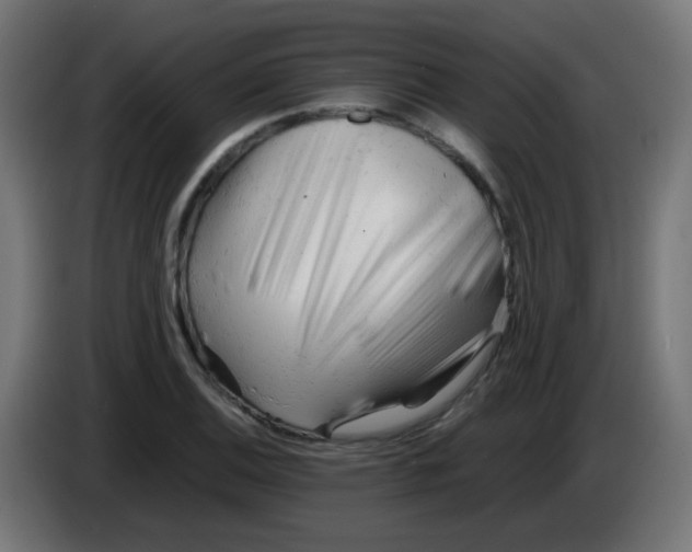 X0000086061124200704132012