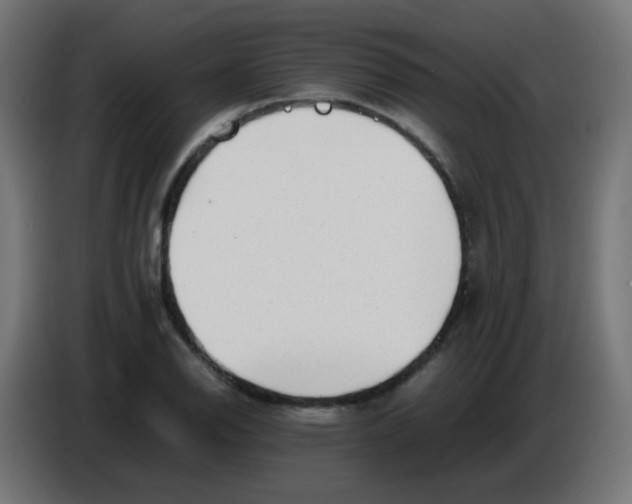 X0000086061126200704132012