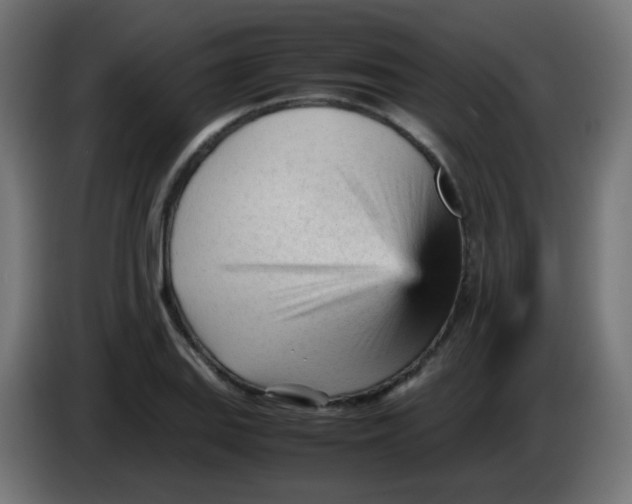 X0000086061127200704132012