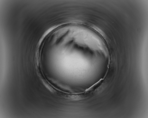 X0000086061128200704132012