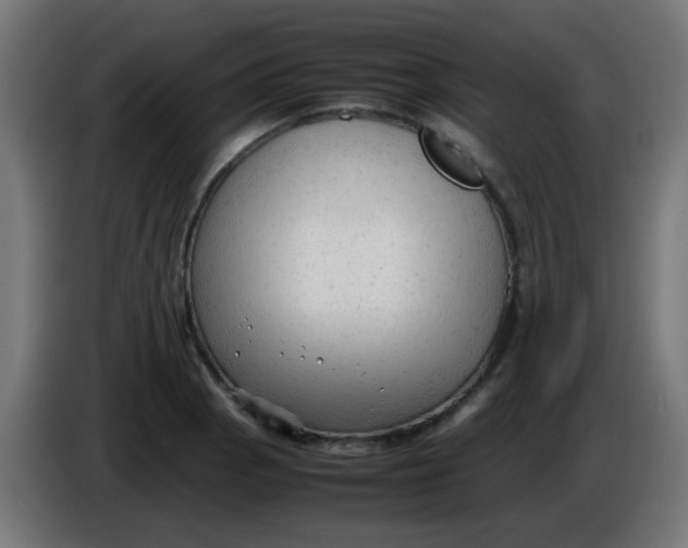 X0000086061129200704132012