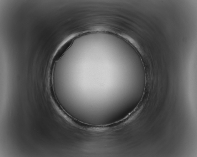 X0000086061134200704132012