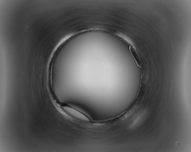 X0000086061135200704132012