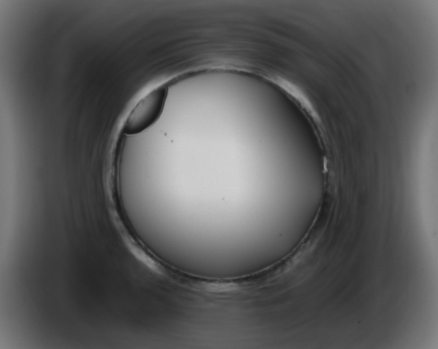 X0000086061136200704132012