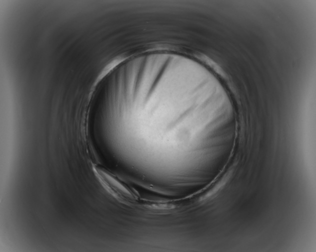 X0000086061137200704132012