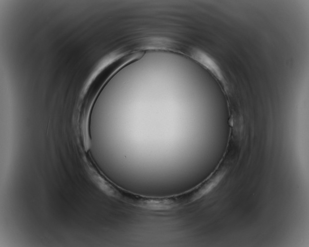 X0000086061138200704132012