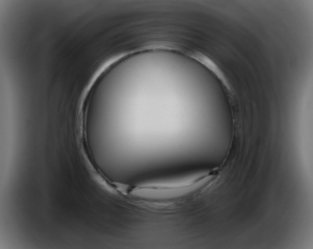 X0000086061140200704132012