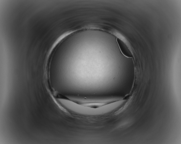 X0000086061141200704132012