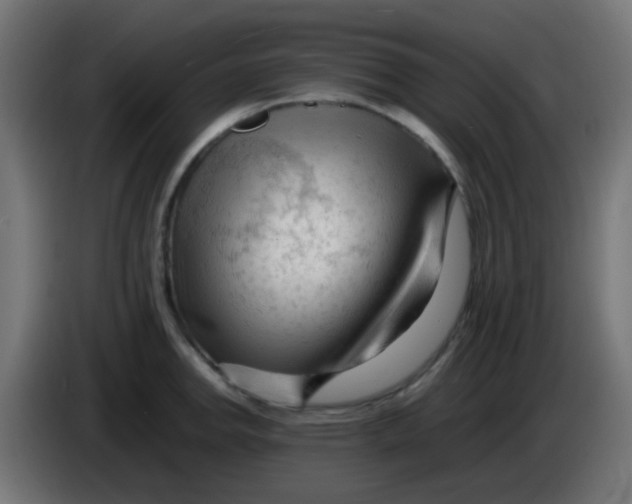 X0000086061142200704132012