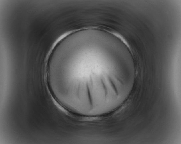 X0000086061143200704132012