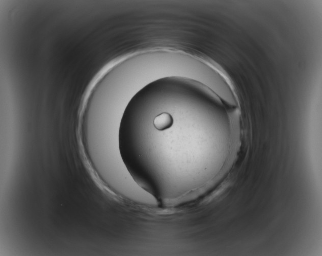 X0000086061144200704132012