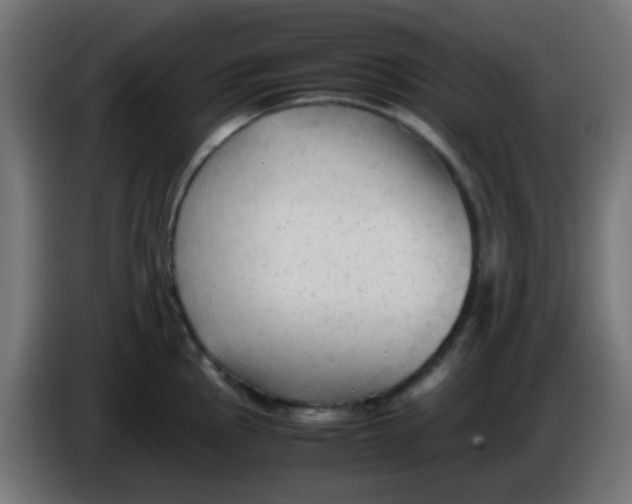 X0000086061145200704132012