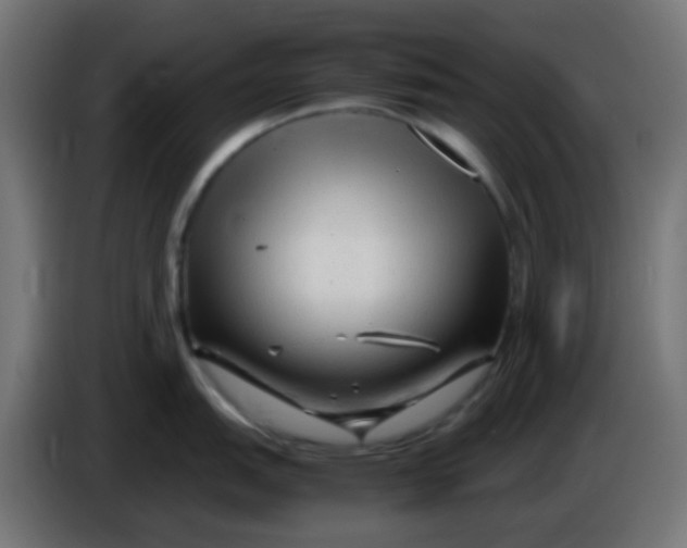 X0000086061151200704132012