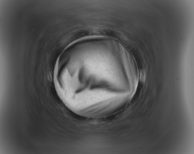 X0000086061155200704132012