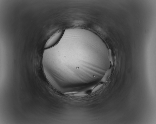 X0000086061158200704132012