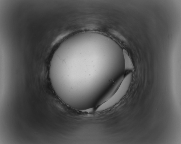 X0000086061160200704132012