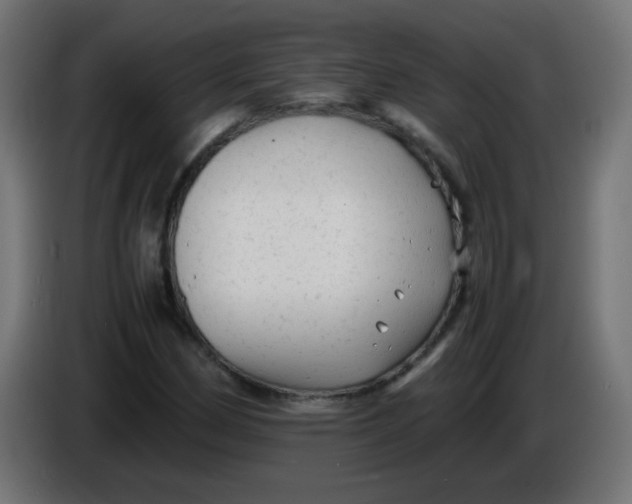 X0000086061162200704132012