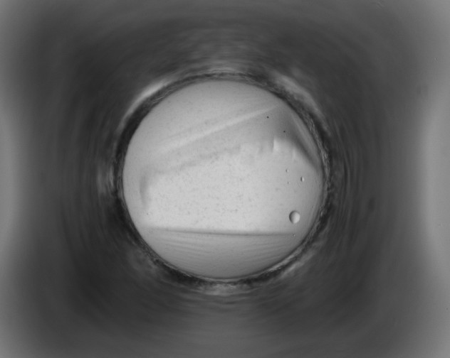 X0000086061166200704132011