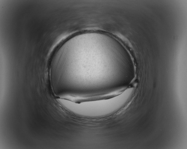 X0000086061167200704132011