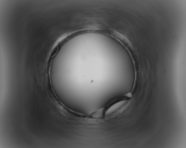 X0000086061168200704132011