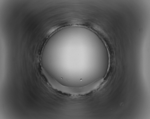 X0000086061169200704132011