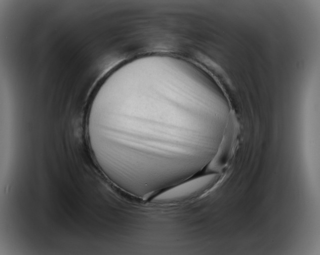 X0000086061170200704132011