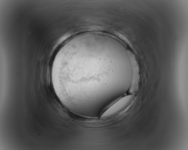 X0000086061171200704132011